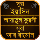 Sura yasin, ayatul kursi, ar rahm, bakara (AUDIO) APK