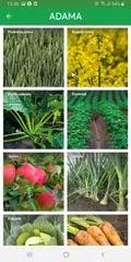 Agro Porada XAPK Herunterladen