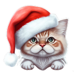 Angry Cat: Strange Version