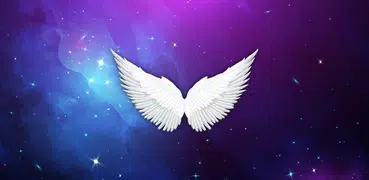 Angel Numbers & Meanings