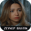 ”zeynep bastik