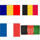 Can You Guess The Country icône