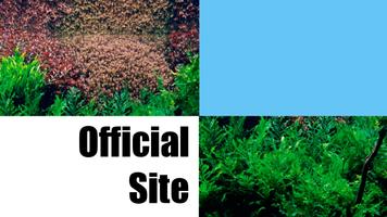 Web for Aquascape ADA تصوير الشاشة 2