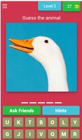Guess the Animal screenshot 3