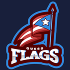 Guess the Flag ícone