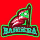 Adivina la bandera? ikon