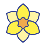 Course Jonquille aplikacja