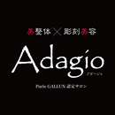 Adagio　美整体×彫刻美容 APK