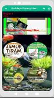 Budidaya Ikan Cupang Hias 스크린샷 1