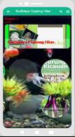 Budidaya Ikan Cupang Hias 스크린샷 2