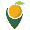 Carte des fruits APK