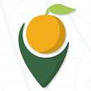 Carte des fruits APK