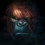 KongPedia | King Kong Wiki icon