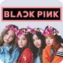 blackpink song plus lyric-KPOP offline APK