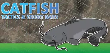 Catfish Tactics & Secret Baits