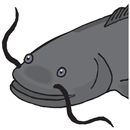Catfish Tactics & Secret Baits-APK