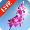 ”Orchids Lite Live Wallpaper