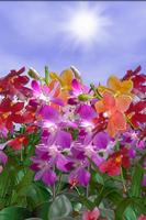 Orchids Lite Live Wallpaper ภาพหน้าจอ 3