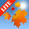 Autumn Leaves Lite