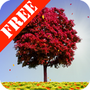 Autumn Trees Free-APK