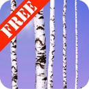 Birch Wood Free LWP APK