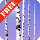 Birch Wood Free simgesi