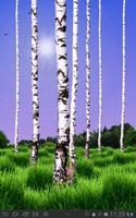 Birch Wood Free gönderen