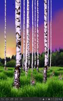 Birch Wood Free Ekran Görüntüsü 1