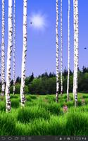 Birch Wood Free Ekran Görüntüsü 3