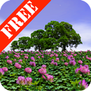 Clover Field Free APK