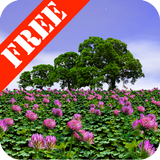 Clover Field Free أيقونة