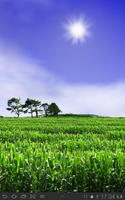 Cornfield Live Wallpaper Poster
