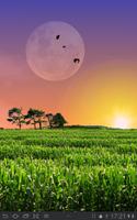 Cornfield Live Wallpaper captura de pantalla 1