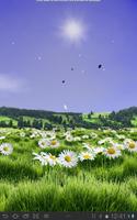 Lovely Daisies Free 海报