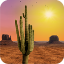 Desert Live Wallpaper APK