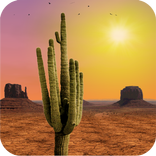 Desert Live Wallpaper