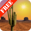 Desert Free Live Wallpaper