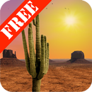 Desert Free Live Wallpaper APK