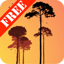 Misty Forest Free-APK