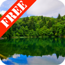 Forest Lake Free-APK