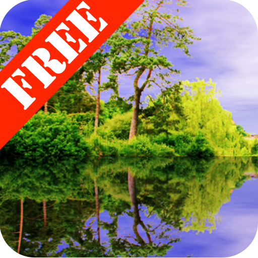 Forest Pond Free