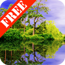 Forest Pond Free APK