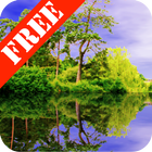 Forest Pond Free 图标
