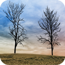 APK Twin Trees - Live Wallpaper