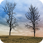 Twin Trees - Live Wallpaper আইকন
