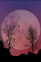 Twin Trees - Live Wallpaper স্ক্রিনশট 2