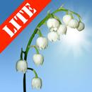 APK Lily of the Valley Lite