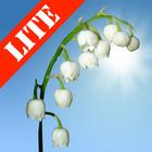 Lily of the Valley Lite icône
