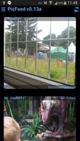 PicFeed Alpha 截图 1