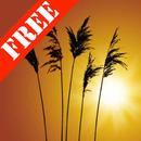 Reeds Free Live Wallpaper-APK